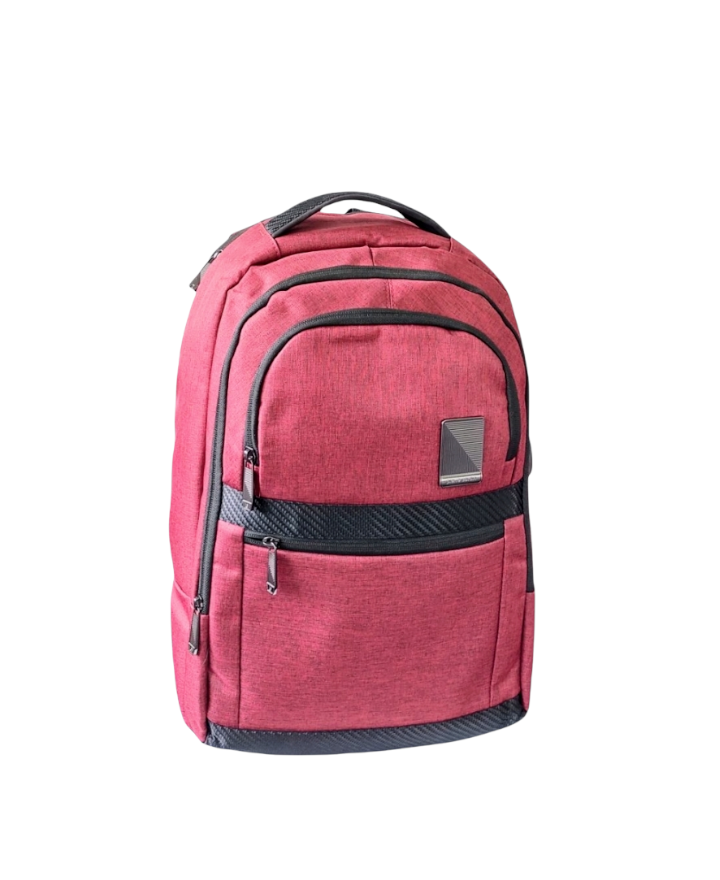 Mochila pierre 2025 cardin